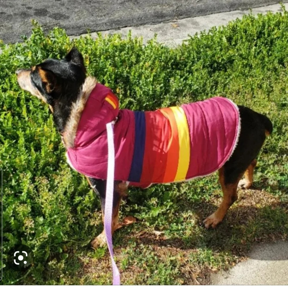 (2) TWO  Pet Apparel Small Dog /Cat  Parka and Sweater-  Up to 20lb